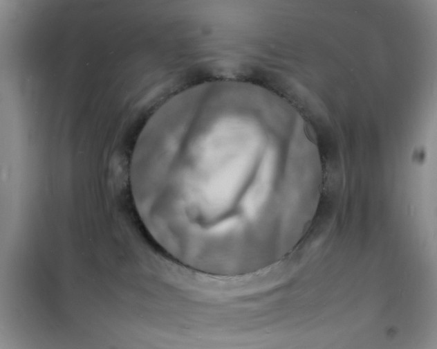 X0000100980043200807151426