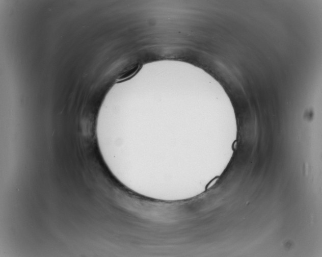 X0000100980044200807151426