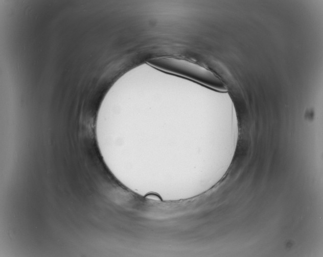 X0000100980045200807151426