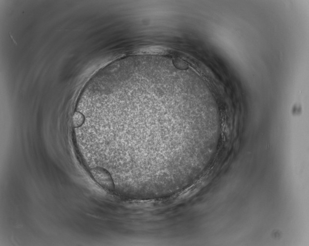 X0000100980049200807151425