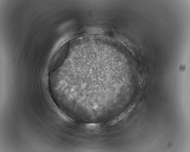 X0000100980053200807151425