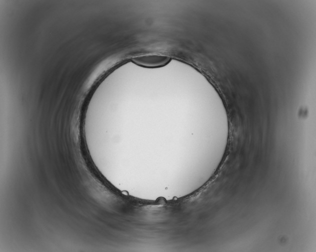 X0000100980054200807151425