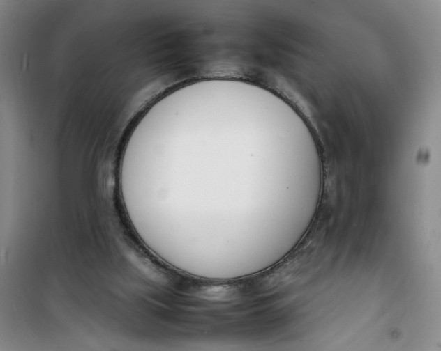 X0000100980059200807151425