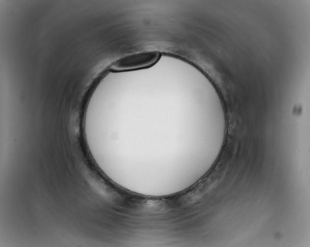 X0000100980060200807151425