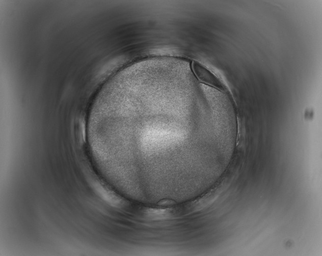 X0000100980061200807151425