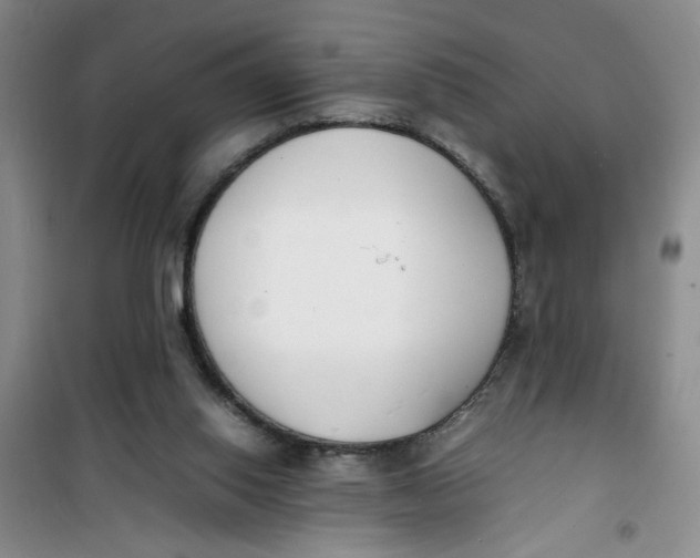 X0000100980062200807151425