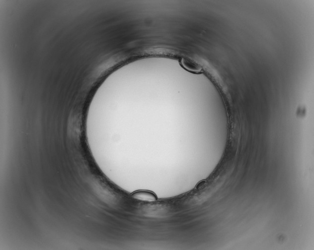 X0000100980063200807151425