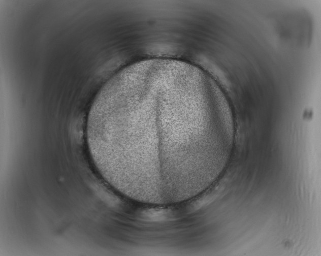 X0000100980065200807151425