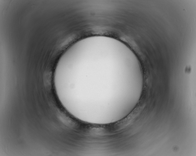 X0000100980066200807151425