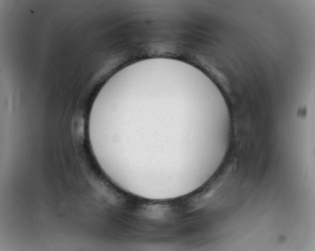 X0000100980067200807151425