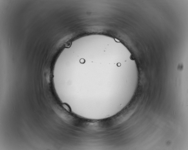 X0000100980068200807151425