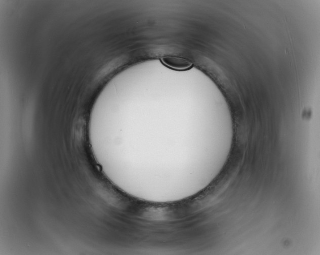 X0000100980071200807151425