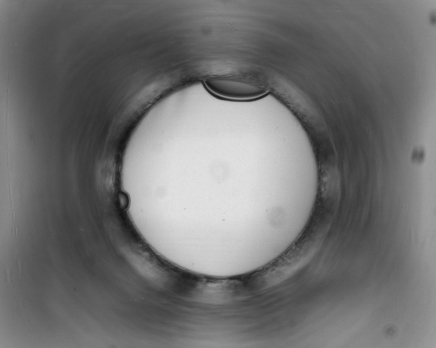 X0000100980072200807151425