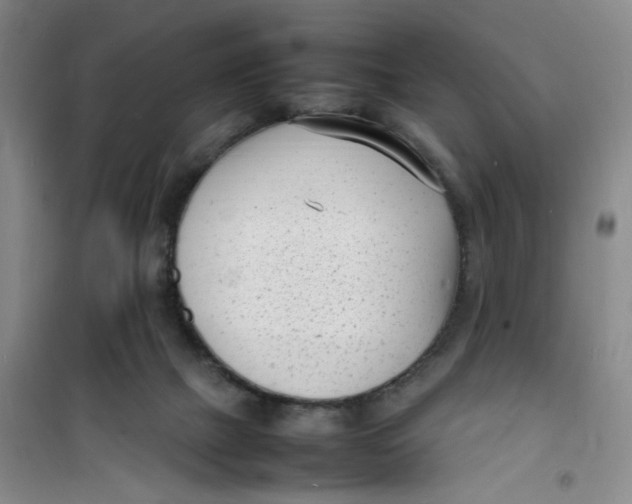 X0000100980073200807151425