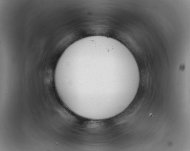 X0000100980077200807151425