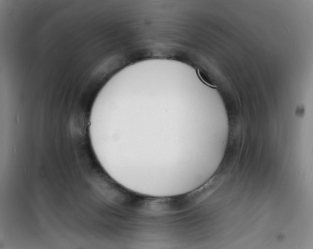 X0000100980078200807151425