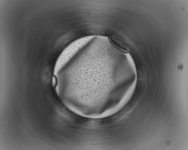 X0000100980080200807151425