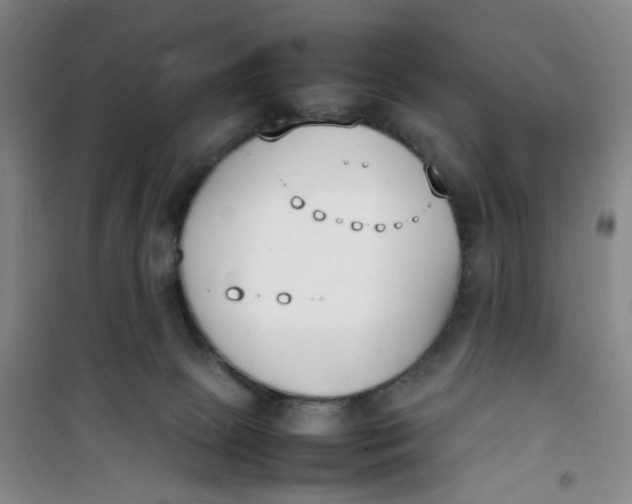 X0000100980081200807151425