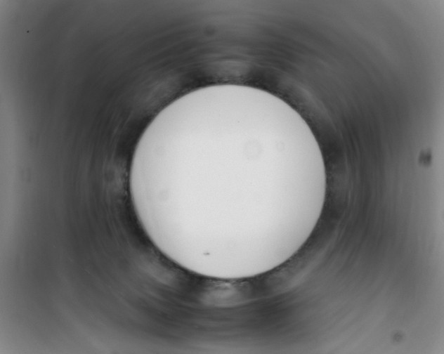 X0000100980083200807151425