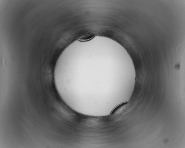 X0000100980086200807151425