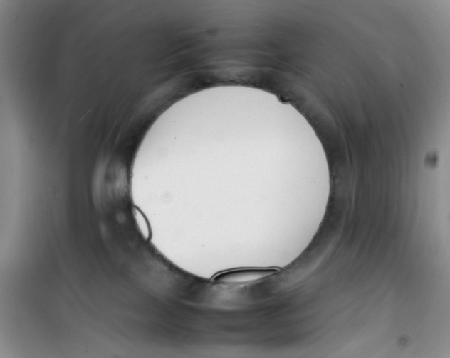 X0000100980089200807151425