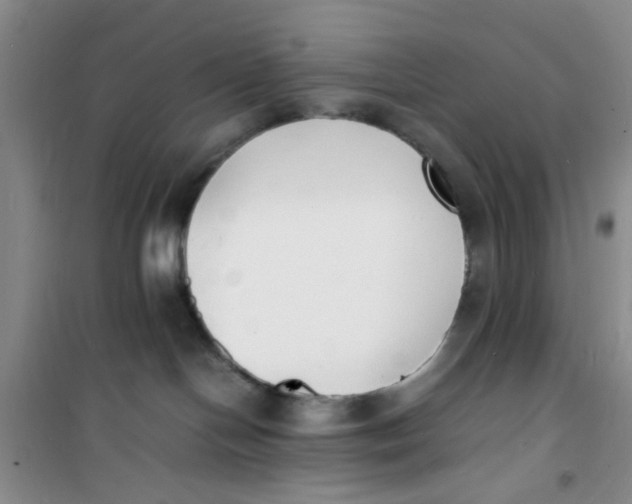 X0000100980094200807151426