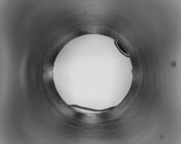 X0000100980095200807151426