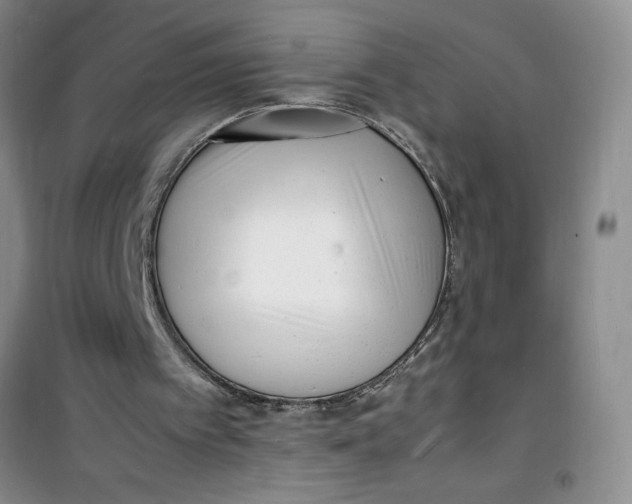 X0000100980097200807151425