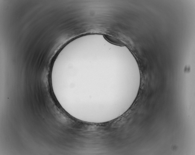 X0000100980098200807151425