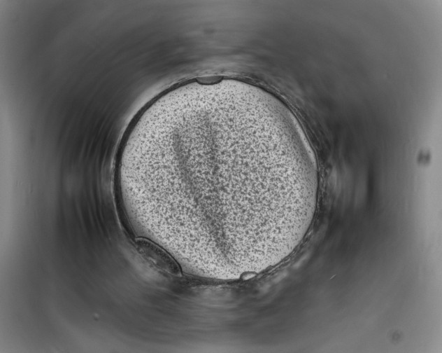 X0000100980100200807151425