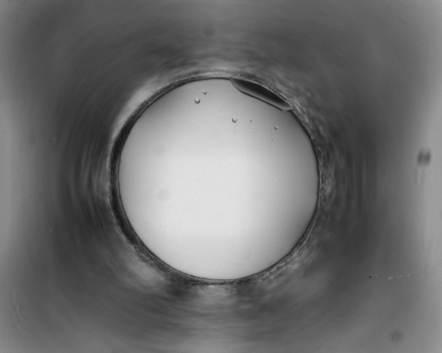 X0000100980102200807151425