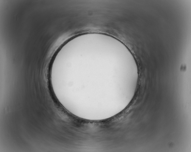 X0000100980103200807151425