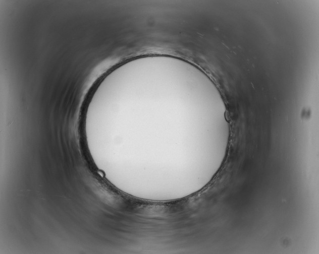 X0000100980104200807151425