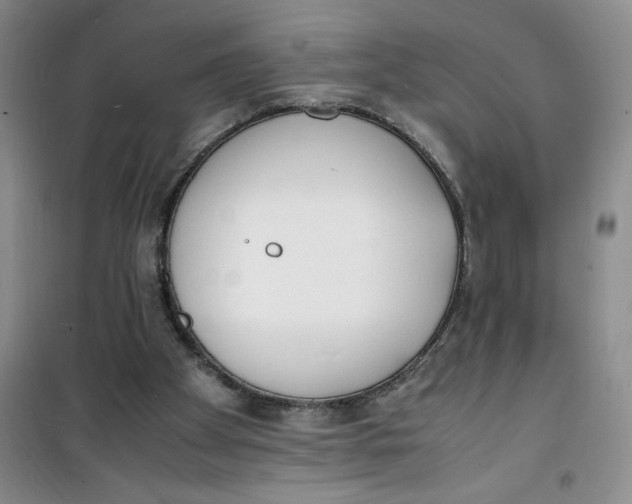 X0000100980105200807151425