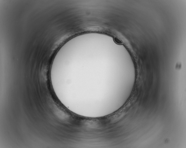 X0000100980106200807151425