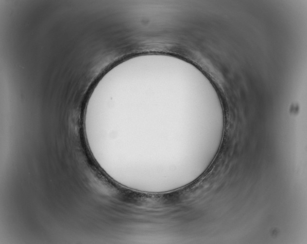 X0000100980107200807151425