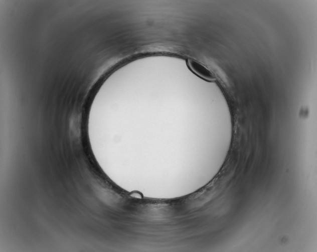 X0000100980108200807151425