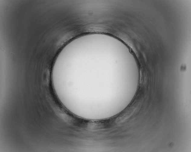 X0000100980109200807151425