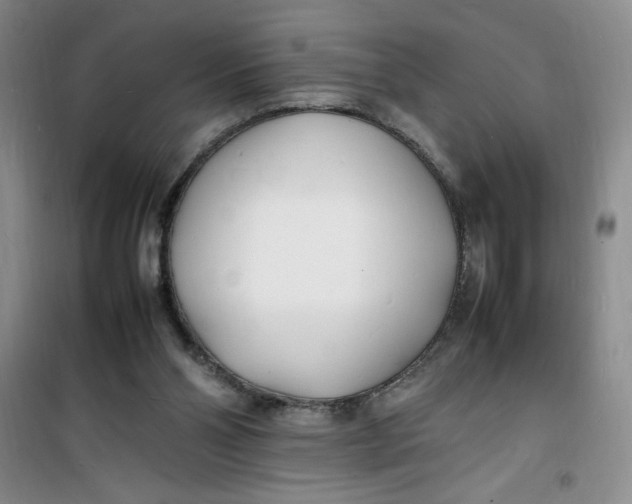 X0000100980110200807151425