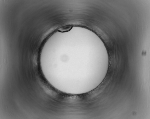 X0000100980112200807151425