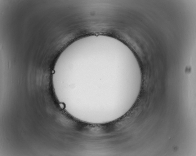 X0000100980113200807151425