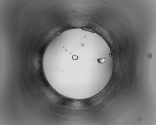 X0000100980114200807151425