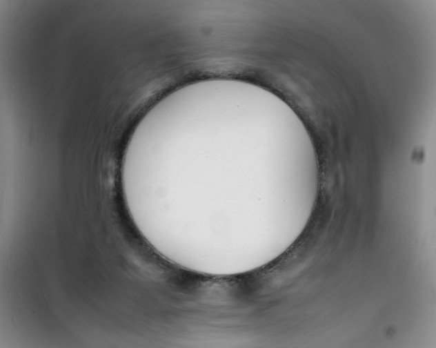 X0000100980115200807151425