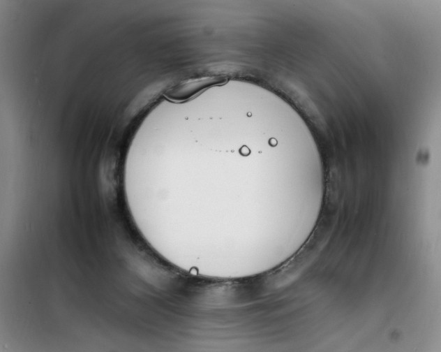 X0000100980116200807151425