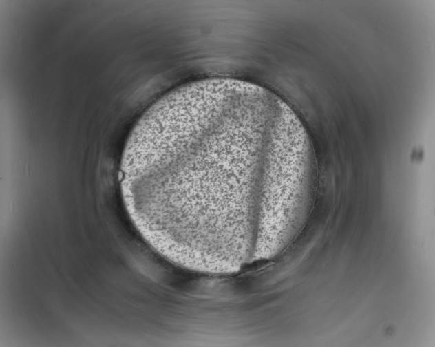 X0000100980117200807151425