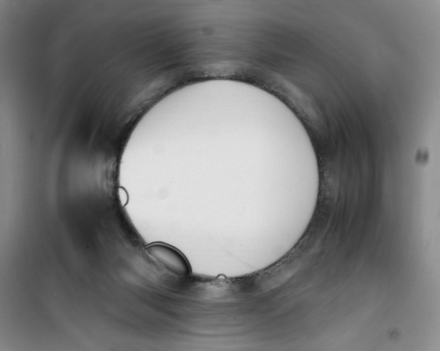 X0000100980118200807151425