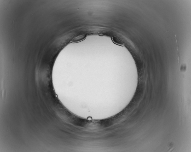 X0000100980119200807151424