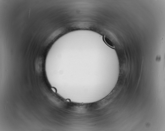 X0000100980120200807151424