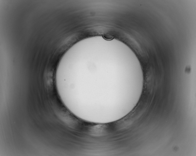 X0000100980122200807151424