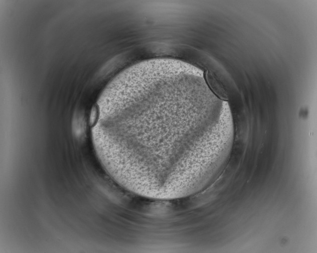 X0000100980124200807151424